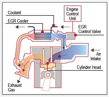 Exhaust Gas Recirculation